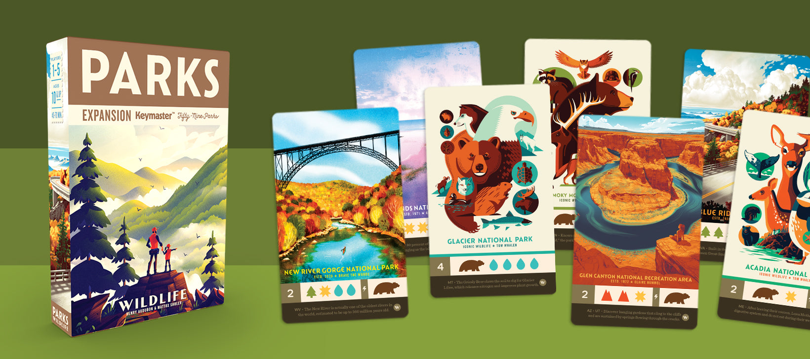 Spotlight: Parks Wildlife